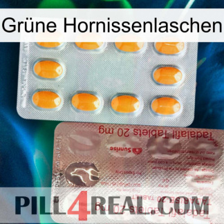Grüne Hornissenlaschen new13